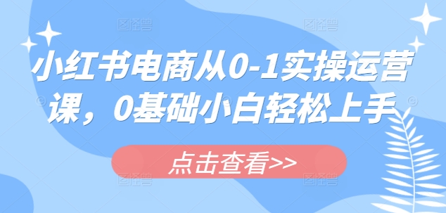 小红书电商从0-1实操运营课，0基础小白轻松上手-温馨分享网