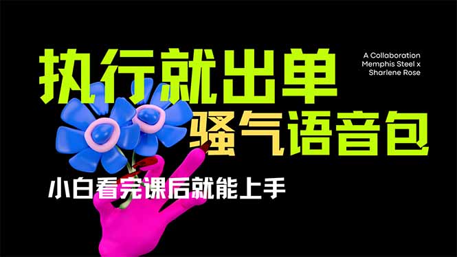 爆火全网的开车导航骚气语音包,只要执行就出单，小白看完课程就能实操…-温馨分享网