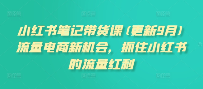 小红书笔记带货课(更新25年3月)流量电商新机会，抓住小红书的流量红利-温馨分享网