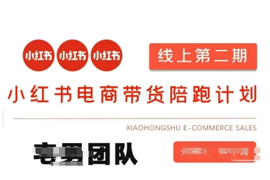 小红书电商带货课2期，月利润20个的小红书电商的有货源，无货源，虚拟产品，付费投流等整套玩法-温馨分享网