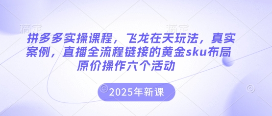 拼多多实操课程，飞龙在天玩法，真实案例，直播全流程链接的黄金sku布局原价操作六个活动-温馨分享网