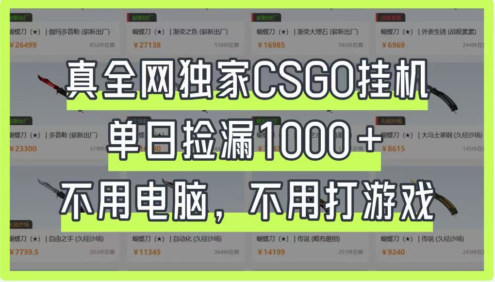 真全网独家CSGO挂机，单日捡漏1000+，不用电脑，不用养号-温馨分享网