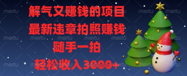 解气又挣钱的项目，最新违章拍照挣钱，随手一拍，轻松收入数张【揭秘】-温馨分享网