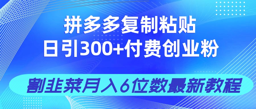 拼多多复制粘贴日引300+付费创业粉，割韭菜月入6位数最新教程！-温馨分享网