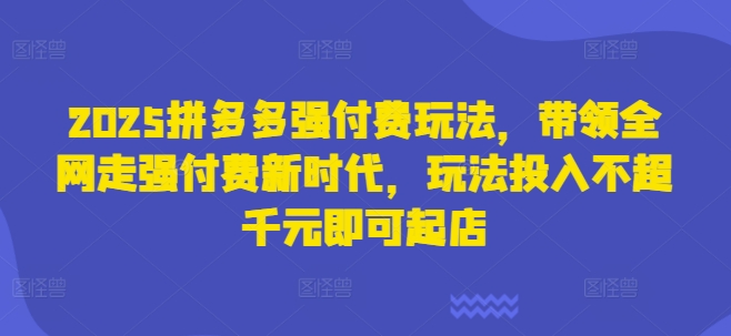 2025拼多多强付费玩法，带领全网走强付费新时代，玩法投入不超千元即可起店-温馨分享网