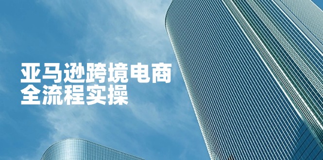亚马逊跨境电商全流程实操，教你从零开始，掌握店铺运营与广告技巧-温馨分享网