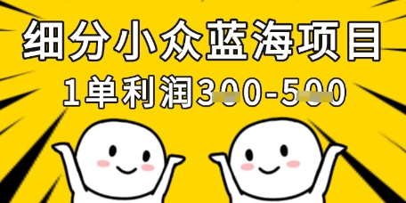 细分小众蓝海项目，一单利润3张，每月收入稳定过1w+-温馨分享网