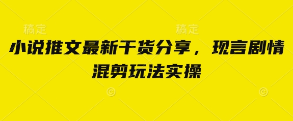 小说推文最新干货分享，现言剧情混剪玩法实操-温馨分享网