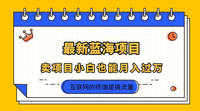 2025年最新蓝海项目，卖项目小白也能月入过万-温馨分享网
