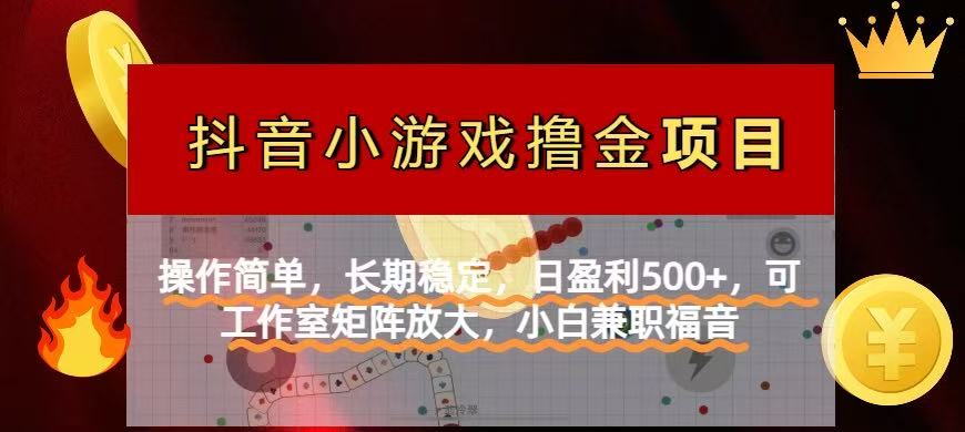 【抖音小游戏发行人计划项目】操作简单，长期稳定，日盈利500+，可工作…-温馨分享网