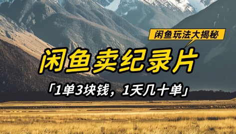 闲鱼卖纪录片1单3块钱，1天几十单，项目稳定有潜力-温馨分享网