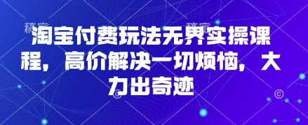 淘宝付费玩法无界实操课程，高价解决一切烦恼，大力出奇迹-温馨分享网