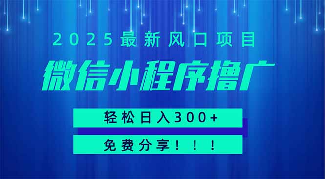 微信小程序撸广，最新风口项目，日入300+ 免费分享 可批量操作 小白可…-温馨分享网