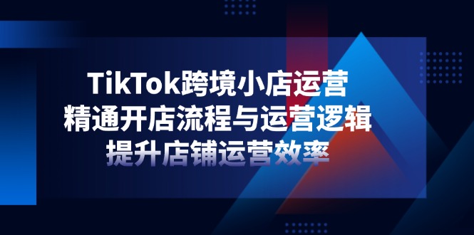 TikTok跨境小店运营，精通开店流程与运营逻辑，提升店铺运营效率-温馨分享网