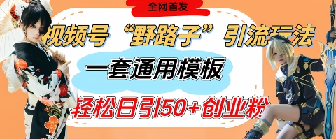 视频号“野路子”玩法，评论区疯狂截流，一套模板单日单号引流50+创业粉-温馨分享网