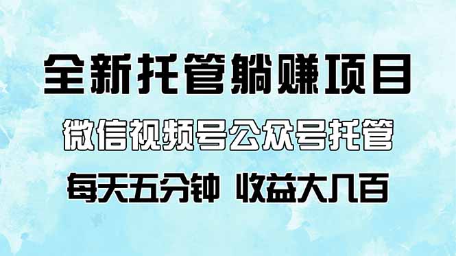 全新托管躺赚项目，微信视频号公众号托管代运营，每天五分钟，收益大几百-温馨分享网