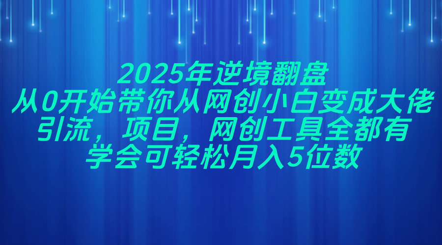 2025年逆境翻盘，从0开始带你从网创小白变成大佬，引流，项目，网创工…-温馨分享网