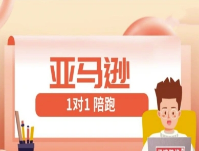 亚马逊1对1陪跑课(FBA/FBM精铺)跨境亚马逊教程-温馨分享网