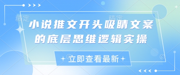 小说推文开头吸睛文案的底层思维逻辑实操-温馨分享网