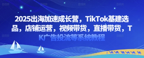 2025出海加速成长营，TikTok基建选品，店铺运营，视频带货，直播带货，TK广告投流等系统教程-温馨分享网