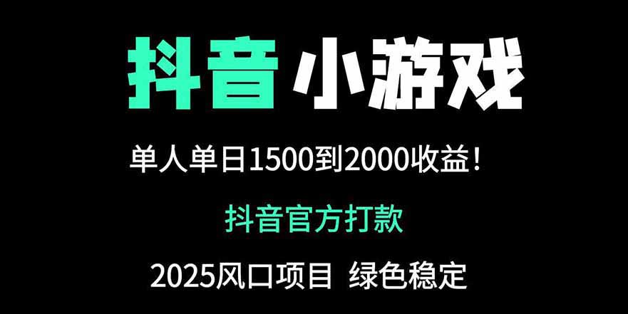 抖音官方小游戏2025全网最新玩法，暴利赚钱项目，单机日入2000+-温馨分享网