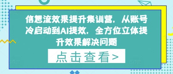 信息流效果提升集训营，从账号冷启动到AI提效，全方位立体提升效果解决问题-温馨分享网