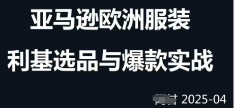 跨境电商选品案例24-25年，聚焦跨境电商选品策略与运营优化，助力卖家挖掘蓝海市场-温馨分享网