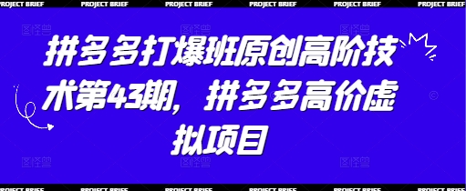 拼多多打爆班原创高阶技术第43期，拼多多高价虚拟项目-温馨分享网