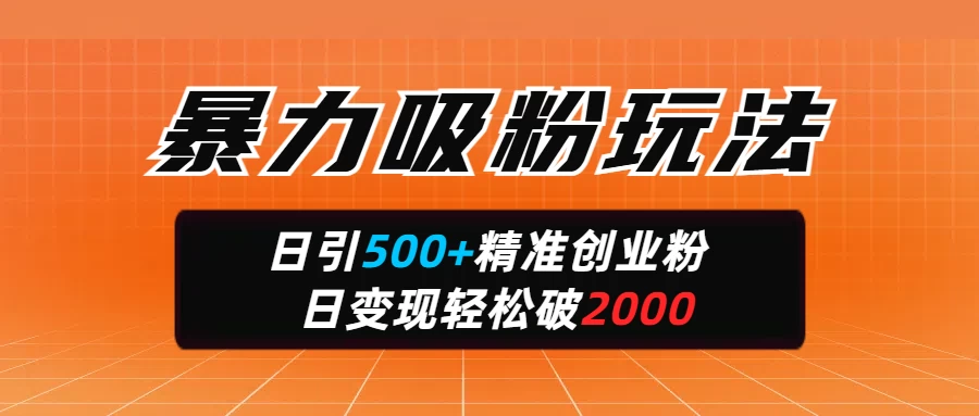 暴力吸粉玩法，日引500+精准创业粉，日变现轻松破2000-温馨分享网