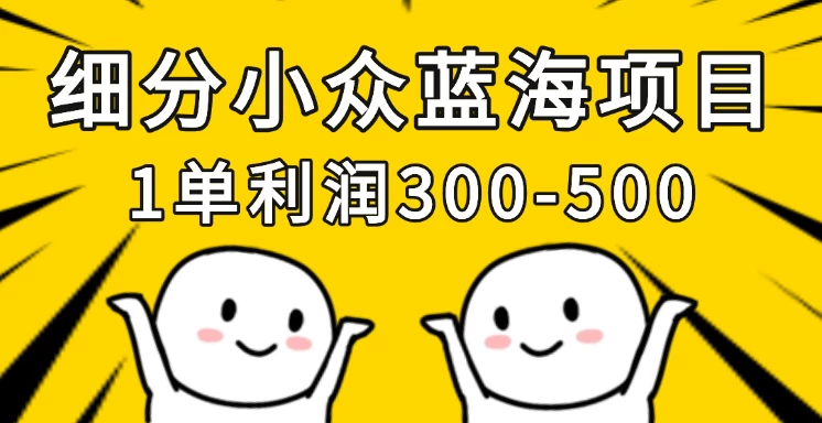 细分小众蓝海项目，一单利润300-500，每月收入稳定4w+-温馨分享网
